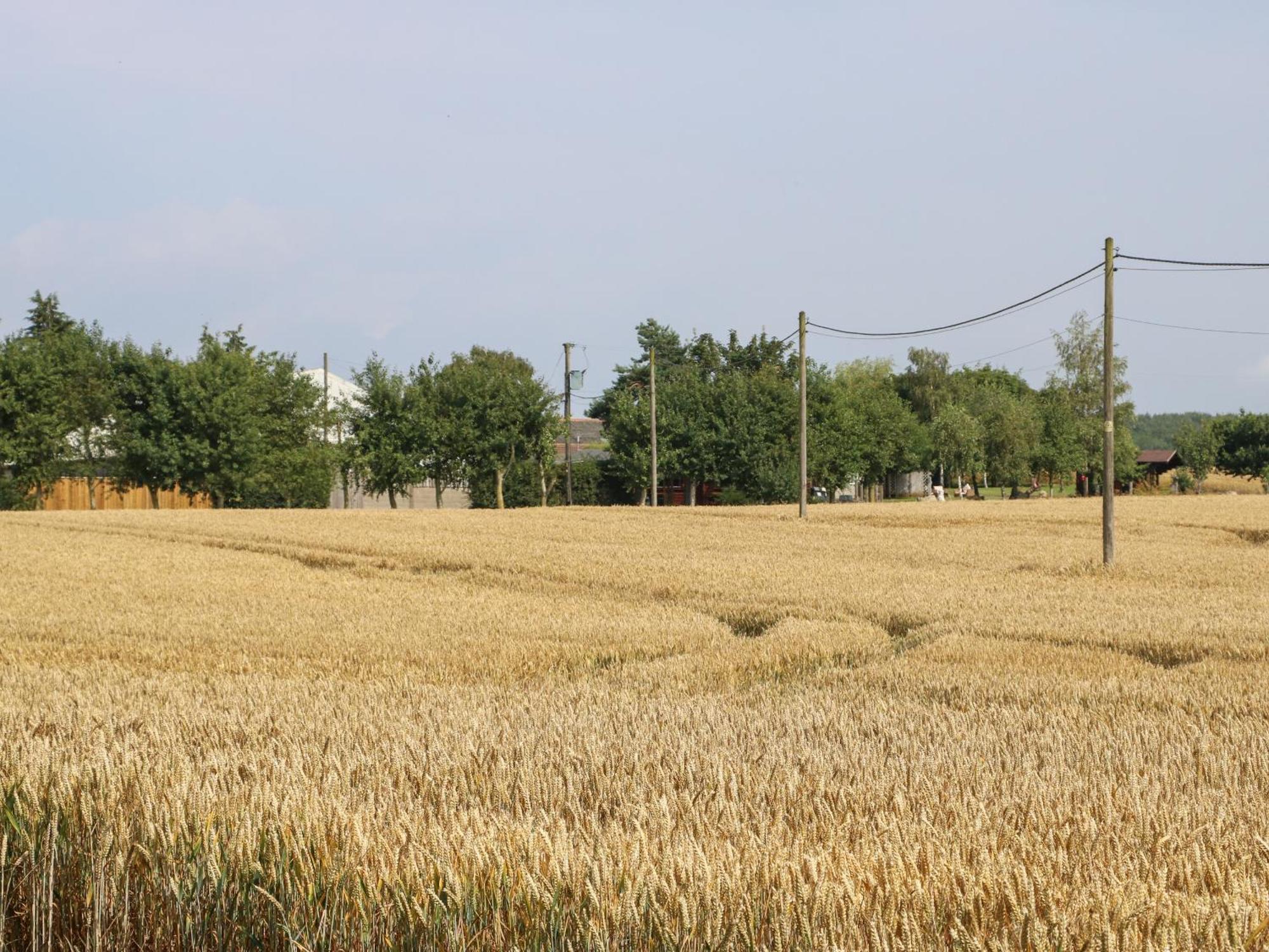 Villa Cornfield Northallerton Exterior foto