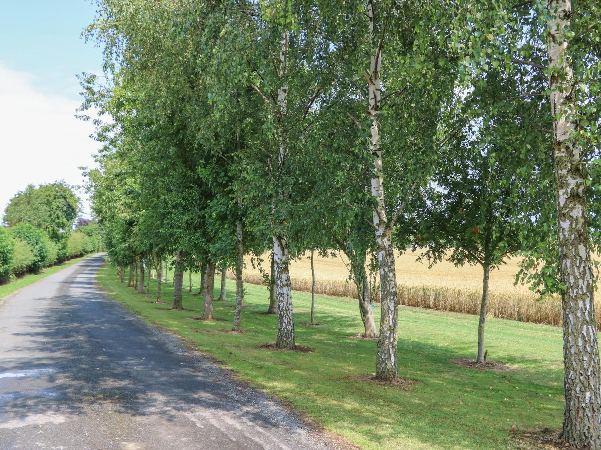 Villa Cornfield Northallerton Exterior foto